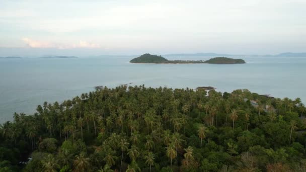 Beautiful Tropical Islands Thailand Field Coconut Trees Sunset Aerial — Stock videók