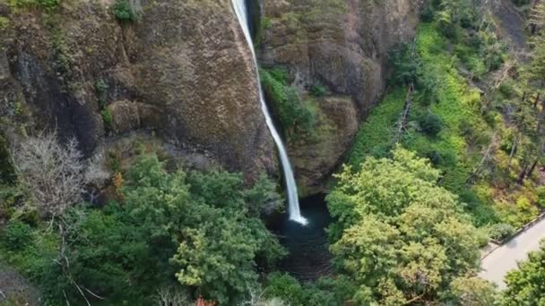 Drone Crane Shot Showcasing Horsetail Falls Walls Canyon Columbia River — Vídeos de Stock