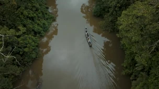Small Motorboat Cruising Amazon River Lush Green Vegetation Aerial Drone — Stock Video