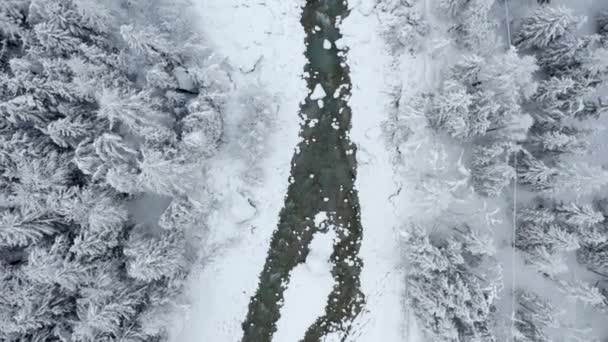 Aerial Zoom Topshot River Winter French Alps — Stockvideo