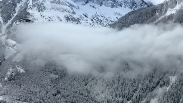 Bir Çam Ağacı Ormanının Dağlardaki Bulutların Havadan Çekilmiş Görüntüleri — Stok video