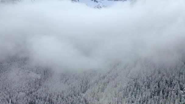 Forward Aerial Shot Amazing Winter Scenery Mountains — 비디오