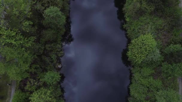 Plano Superior Recto Oscuro Río Pantanoso — Vídeo de stock