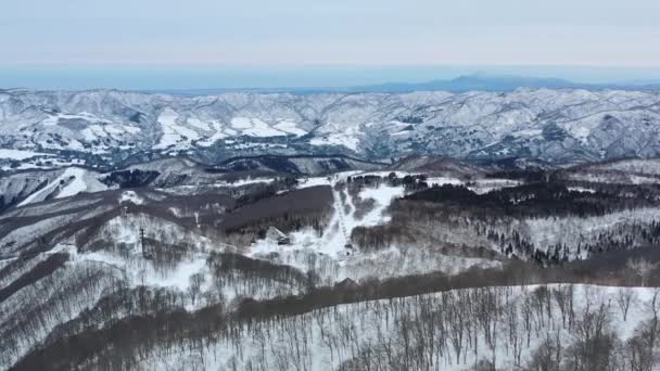 Bergachtig Besneeuwd Landschap Nozawa Onsen Nagano Japan Tijdens Winter Antenne — Stockvideo