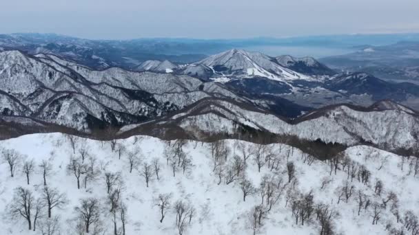 Panorama Vanuit Lucht Van Besneeuwde Bergtoppen Nagano Japan Tijdens Bewolkte — Stockvideo