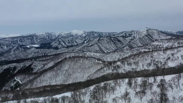 Parallelle Antenne Naar Besneeuwde Bergtoppen Nozawa Onsen Nogano Japan Winter — Stockvideo