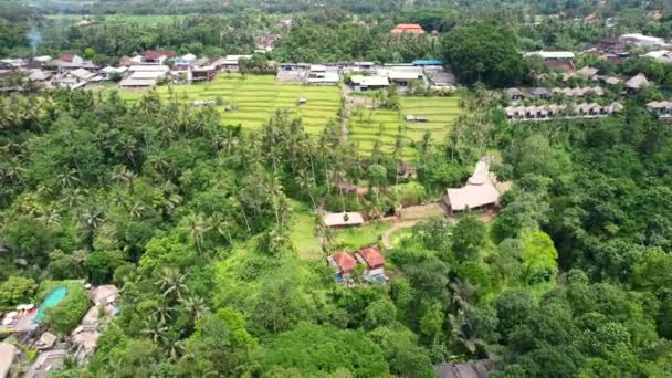 Panoramisch Van Rijstveld Terras Een Heuvel Jungles Van Ubud Bali — Stockvideo