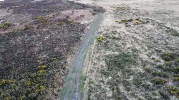 Aerial Tracking Shot Moorland Walker Path North Devon — Stockvideo