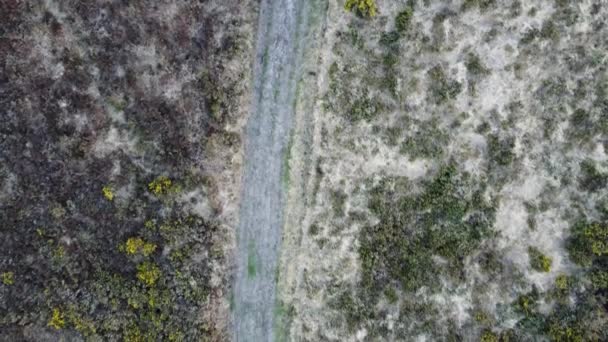 Top Aerial Shot Walker Path Moorland Στο North Devon — Αρχείο Βίντεο