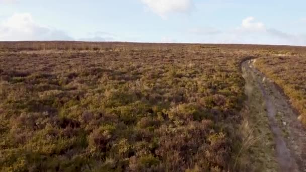 Fast Rising Aerial Shot Exmoor Hiker Path Sunset — ストック動画