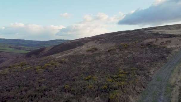 Rising Aerial Shot Exmoor Met Gele Braamstruiken Briljante Blauwe Lucht — Stockvideo