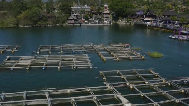 Bamboo Cages Holding Seaweed Farm Lake Mount Batur Bali Indonesia — Stock video