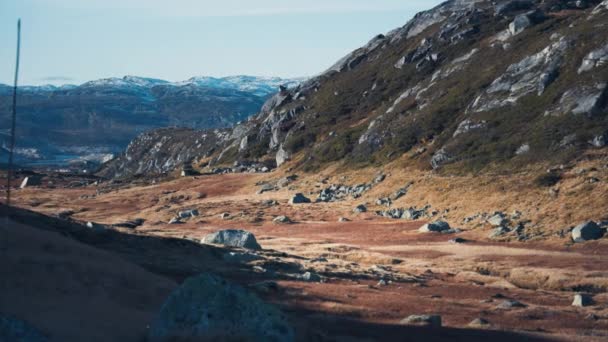 Harsh Nordic Landscape Rocky Terrain Withered Grass Snow Covered Mountains — ストック動画