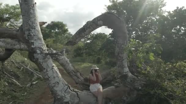 Beautiful Model Camera Sitting Fallen Tree Reverse Drone Shot Concept — Stockvideo