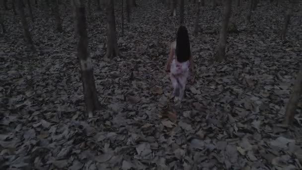 Modelka Bílém Dlouhými Vlasy Procházející Tajemném Lese Kostarice Horor Strašidelná — Stock video