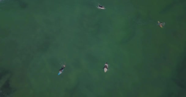 Guincho Cascais Güzel Yeşil Okyanusları Olan Güzel Dalgalar Bekleyen Sörfçüler — Stok video