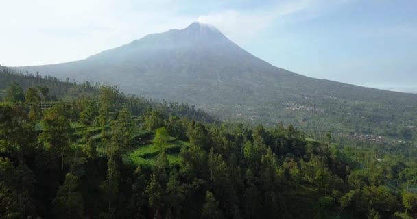 Merapi Volcano Rural View Vegetable Plantation Dense Trees Central Java — Vídeo de Stock