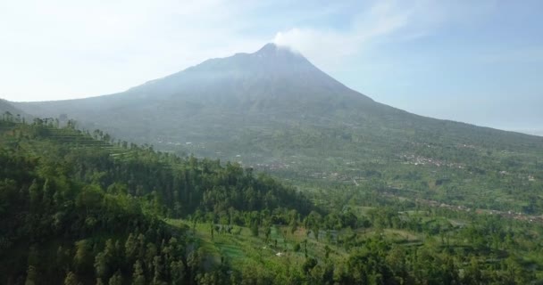 Vulkan Merapi Mit Ländlichem Blick Auf Plantagen Mit Brokolli Kohl — Stockvideo