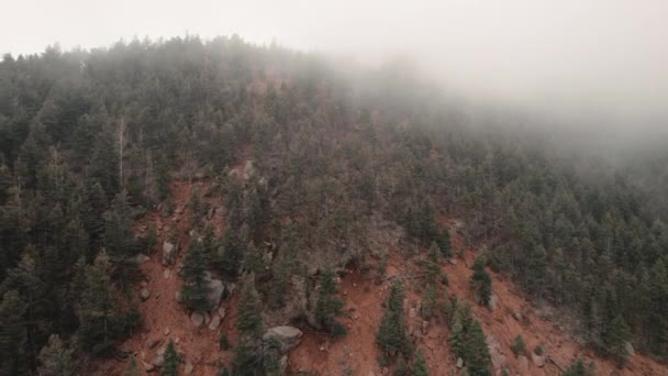 Dolly Inversa Aérea Sobre Bosque Siempreverde Cubierto Niebla Pico Del — Vídeos de Stock