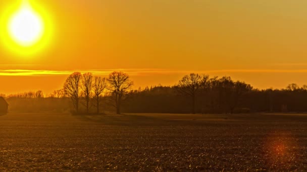 Static Shot Sunset Timelapse Farmers Pasture Evening Time Yellow Sky — Stock videók