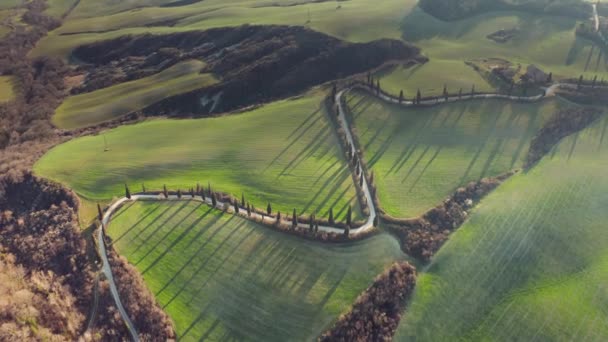 See Iconic Cypress Road Tuscany — 图库视频影像