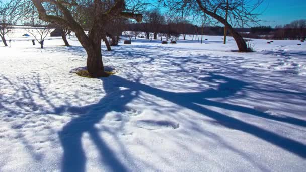 Shadows Reflecting Snowscape Nature Park Sunrise Sunset Timelapse — Vídeo de Stock