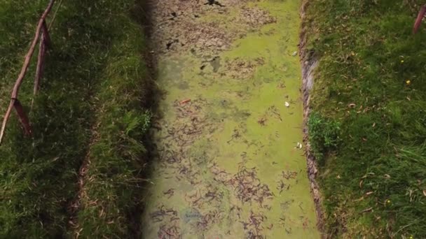 Flying Drone Polluted River Ecuador — Stock video