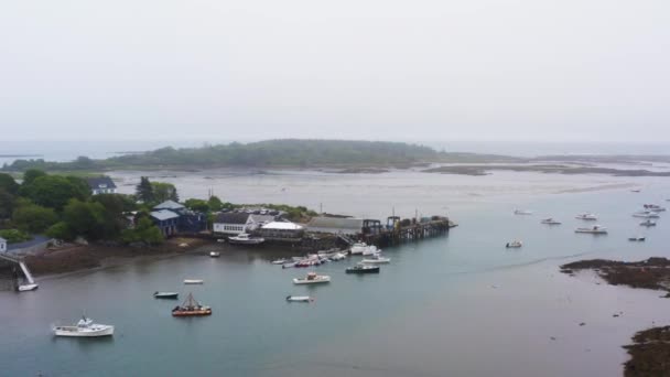 Drone Aerial Fishing Lobster Boats Sitting Marina 30P — Wideo stockowe