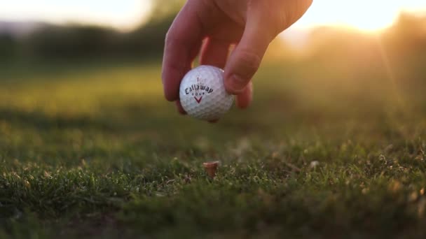 Hand Zetten Callaway Golf Ball Tee Golfbaan Zonsondergang Achtergrond Close — Stockvideo