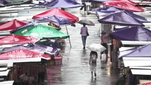 Gente Que Camina Mercado Minorista Las Señoras Día Lluvioso Hong — Vídeo de stock