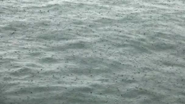 Slow Motion Heavy Rain Calm Ocean Waves Hong Kong Sad — Stok video