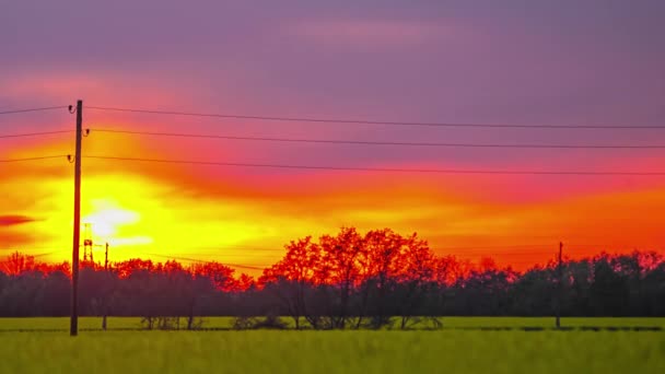 Static View Beautiful Yellow Rapeseed Crops Sun Going Clouds Evening — Stockvideo