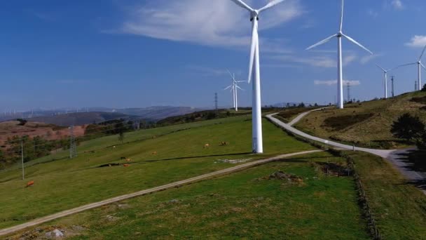 Yeşil Dağ Çayırlarında Elektrik Hatları Olan Rüzgar Türbinleri Arasında Otlayan — Stok video