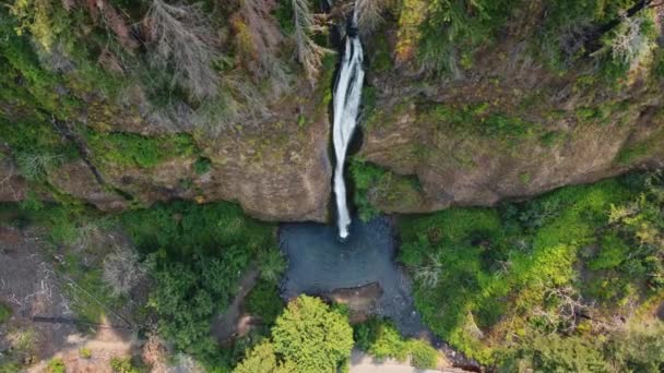 Overhead Drone Shot Horsetail Falls Powerfully Cascading Canyon Columbia River — Vídeo de Stock