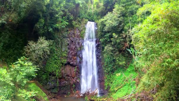 Still Image Sao Nicolau Waterfall Sao Tome Africa — Vídeo de Stock