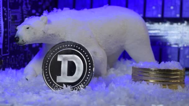 Altcoins Crypto Winter Snow Fallen Polar Bear Doge Coin Blue — Videoclip de stoc