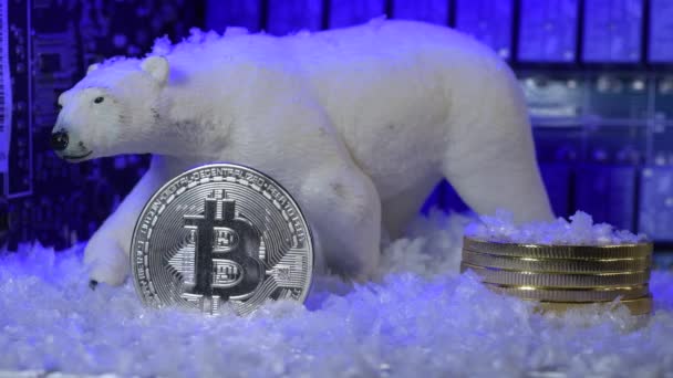 Silver Bitcoin Crypto Currency Winter Bear Market Frozen Blue Light — Stockvideo