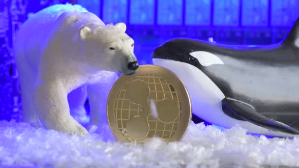 Crypto Zimní Klesající Trend Zvlněné Digitální Měny Lov Velryb Medvědím — Stock video