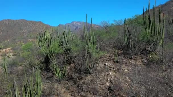 Arid Hegyi Táj Mexikóban Lassan Emelkedő Légi Felfedezés — Stock videók