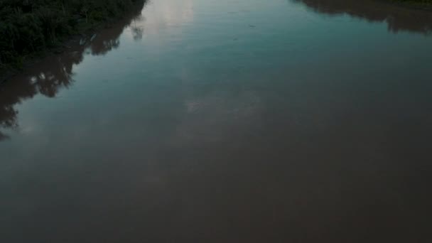 Drohnen Neigung Zeigt Mächtigen Amazonas Fluss Umgeben Von Unberührtem Regenwald — Stockvideo