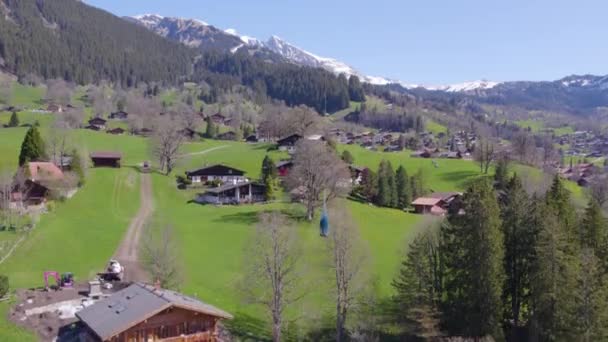 Drone Shot Van Helikopter Vervoert Vracht Zwitserse Bergen — Stockvideo