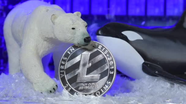 Zima Přichází Pro Kryptografickou Měnu Sníh Padá Litecoin Lední Medvěd — Stock video