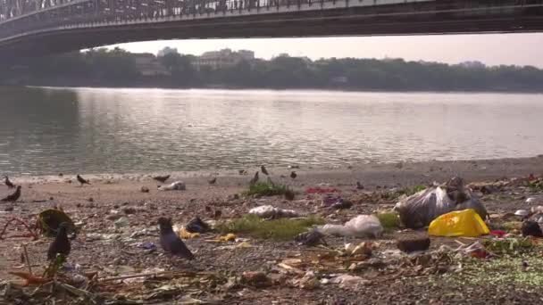 Νερό Του Ποταμού Γάνγκα Μολύνεται Αποτέλεσμα Της Απόρριψης Σκουπιδιών Στο — Αρχείο Βίντεο
