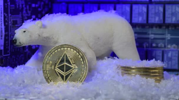 Crypto Winter Snow Eos Cryptocurrency Fall Remain Low Recession Fears — Stok video