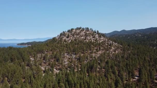 Zbliżenie Drona Pokryte Drzewami Wzgórze Lesie Tahoe Widokiem Jezioro Tahoe — Wideo stockowe