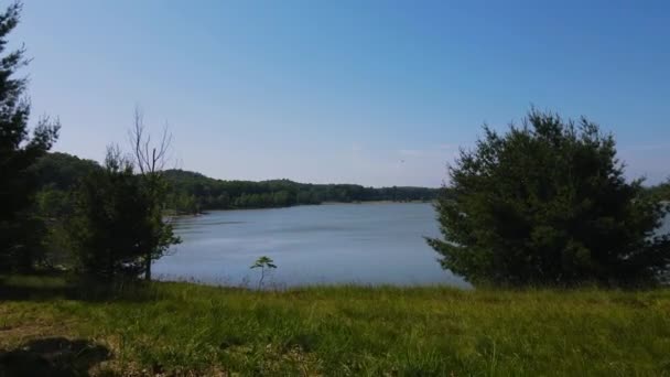 Summer Weather Beautiful Lush Colors Nature Reserve — Vídeo de Stock