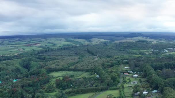 Wide Aerial Dolly Shot Rural Rainforest Farmland Big Island Hawaii — Wideo stockowe