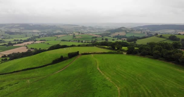 Luftaufnahme Über Dem East Devon Countryside Mit Den Tälern Der — Stockvideo