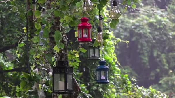雨中挂在树上的灯笼 — 图库视频影像