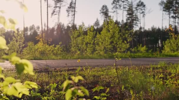 Motociclista Que Detiene Carretera Forestal Cálida Noche Soleada Vista Mano — Vídeos de Stock